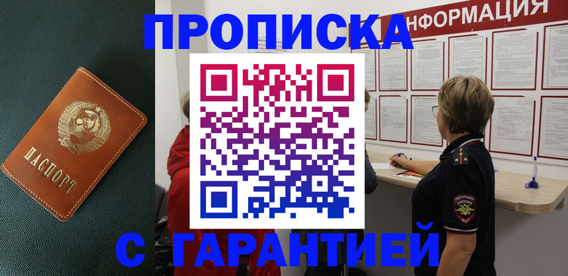 временная регистрация госуслуги в Никольском